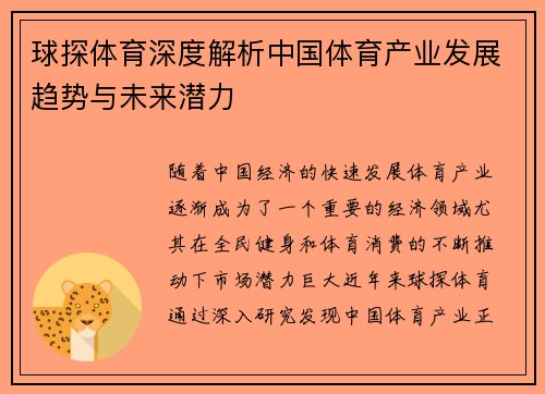 球探体育深度解析中国体育产业发展趋势与未来潜力