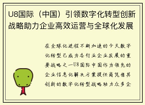 U8国际（中国）引领数字化转型创新战略助力企业高效运营与全球化发展