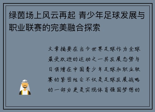 绿茵场上风云再起 青少年足球发展与职业联赛的完美融合探索